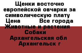 Щенки восточно европейской овчарки за символическую плату › Цена ­ 250 - Все города Животные и растения » Собаки   . Архангельская обл.,Архангельск г.